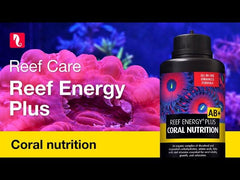 Ingredients chart for Red Sea Reef Energy Plus showing complete nutrition
