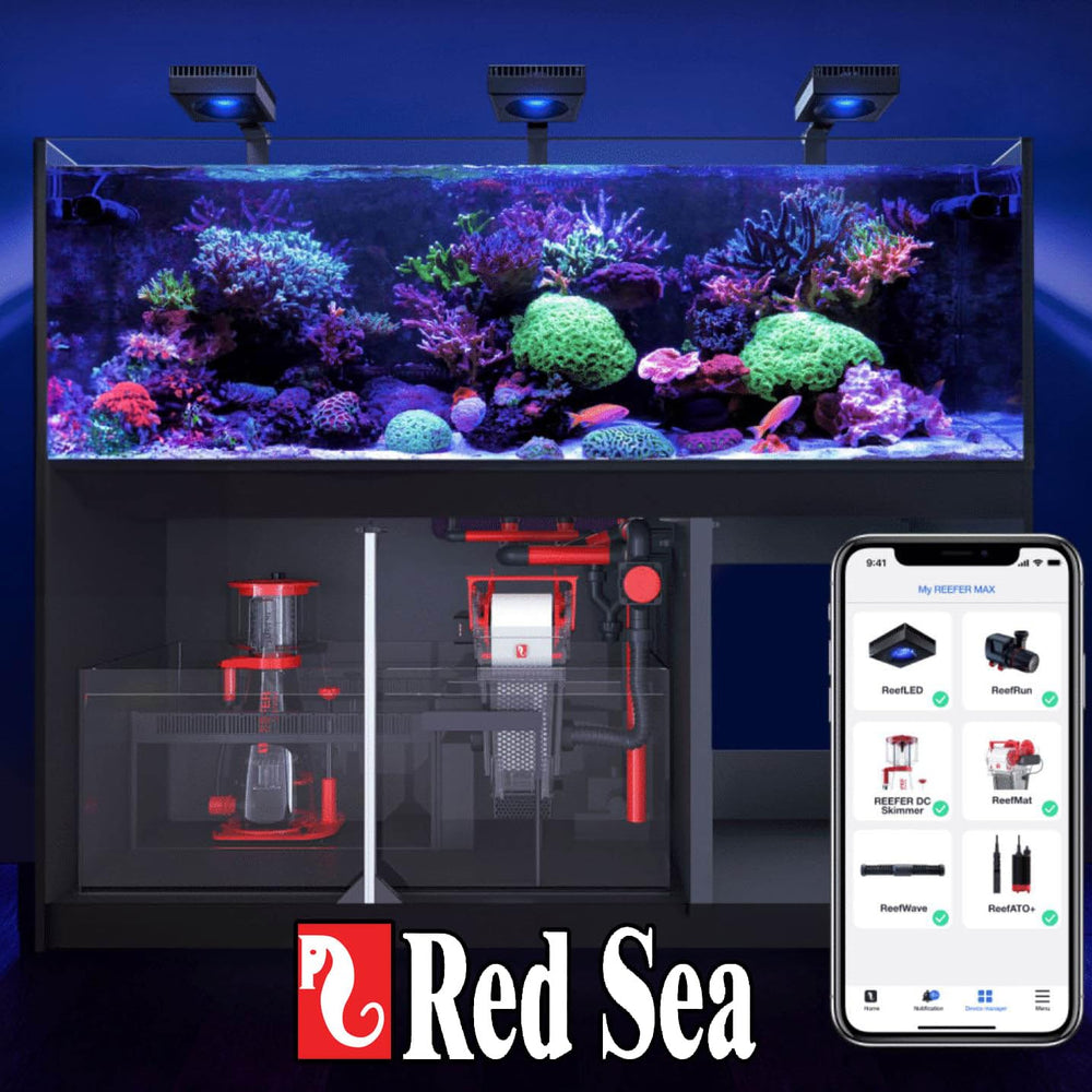 Red Sea Reefer Foundation B Alkalin in use in thriving reef tank
