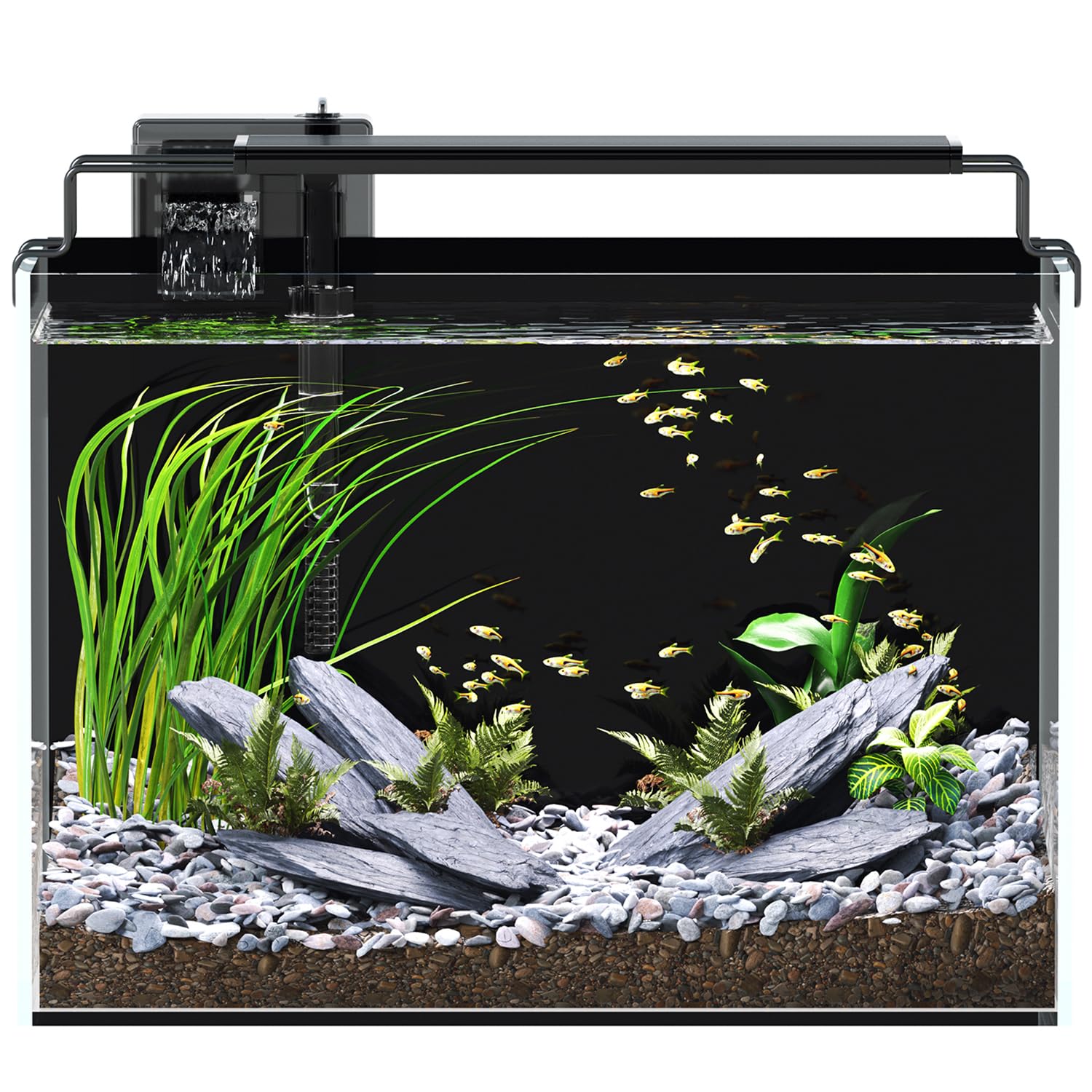 Red Tail Fish 5G betta tank showing a compact setup ideal for small spaces