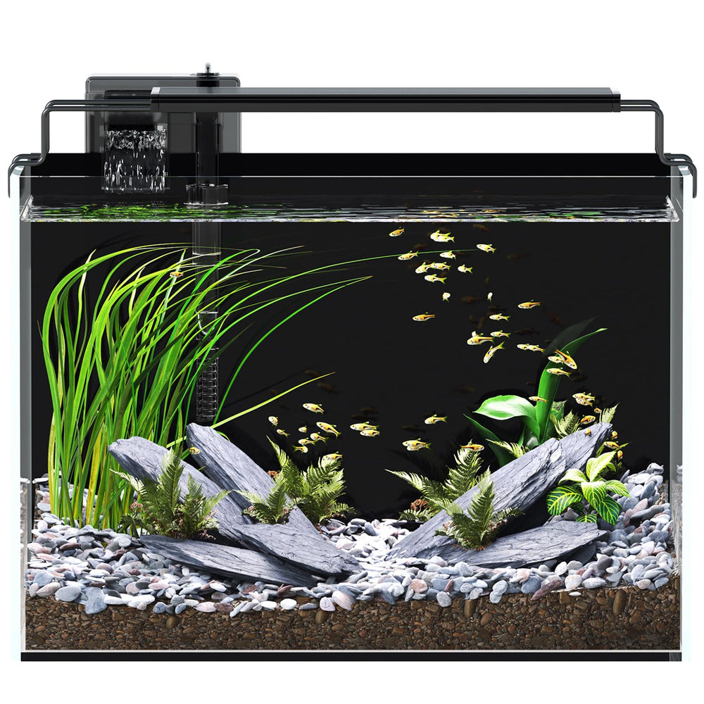 Red Tail Fish 5G betta tank showing a compact setup ideal for small spaces