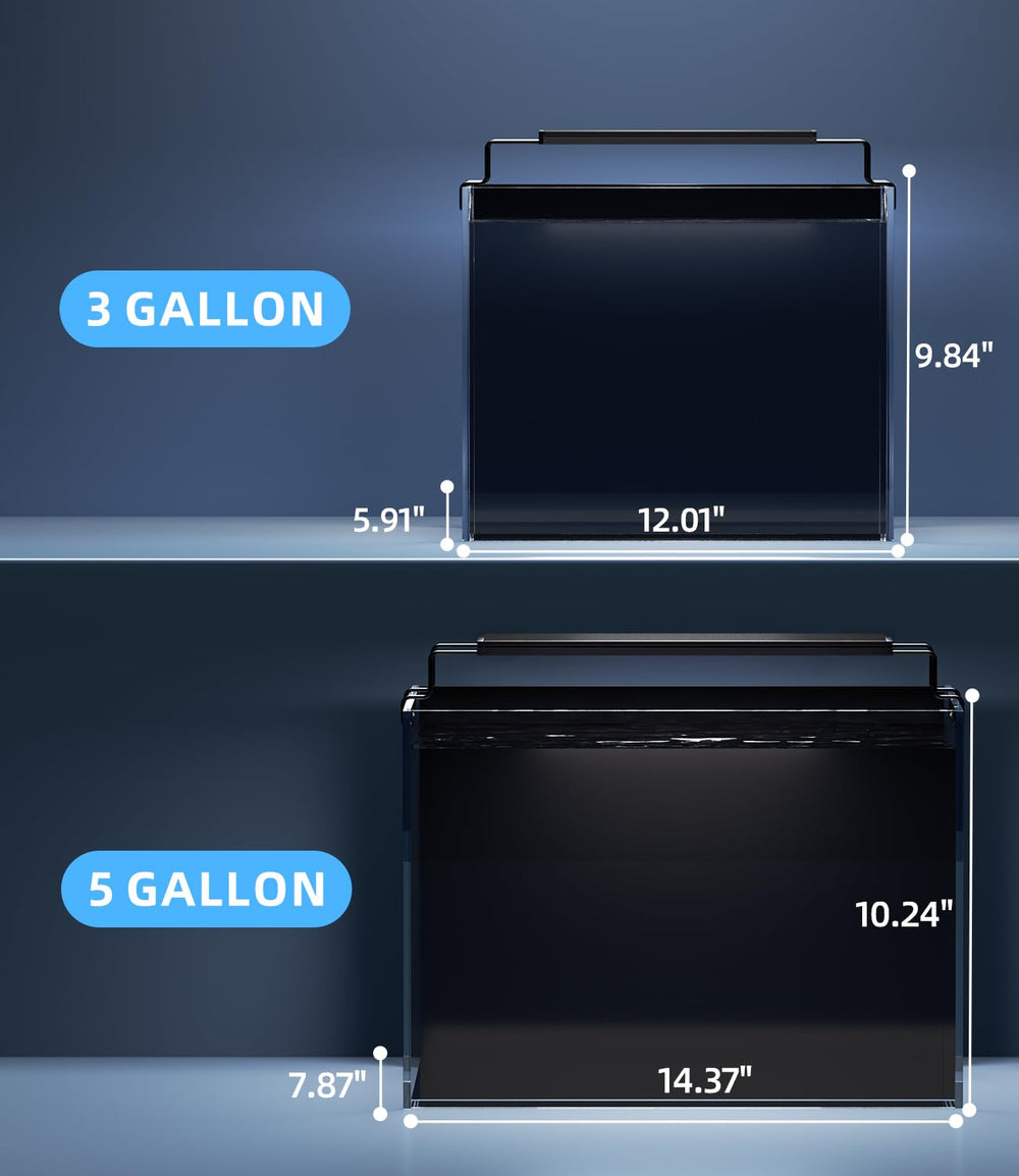Red Tail Fish complete kit image conveying all-in-one setup for beginners