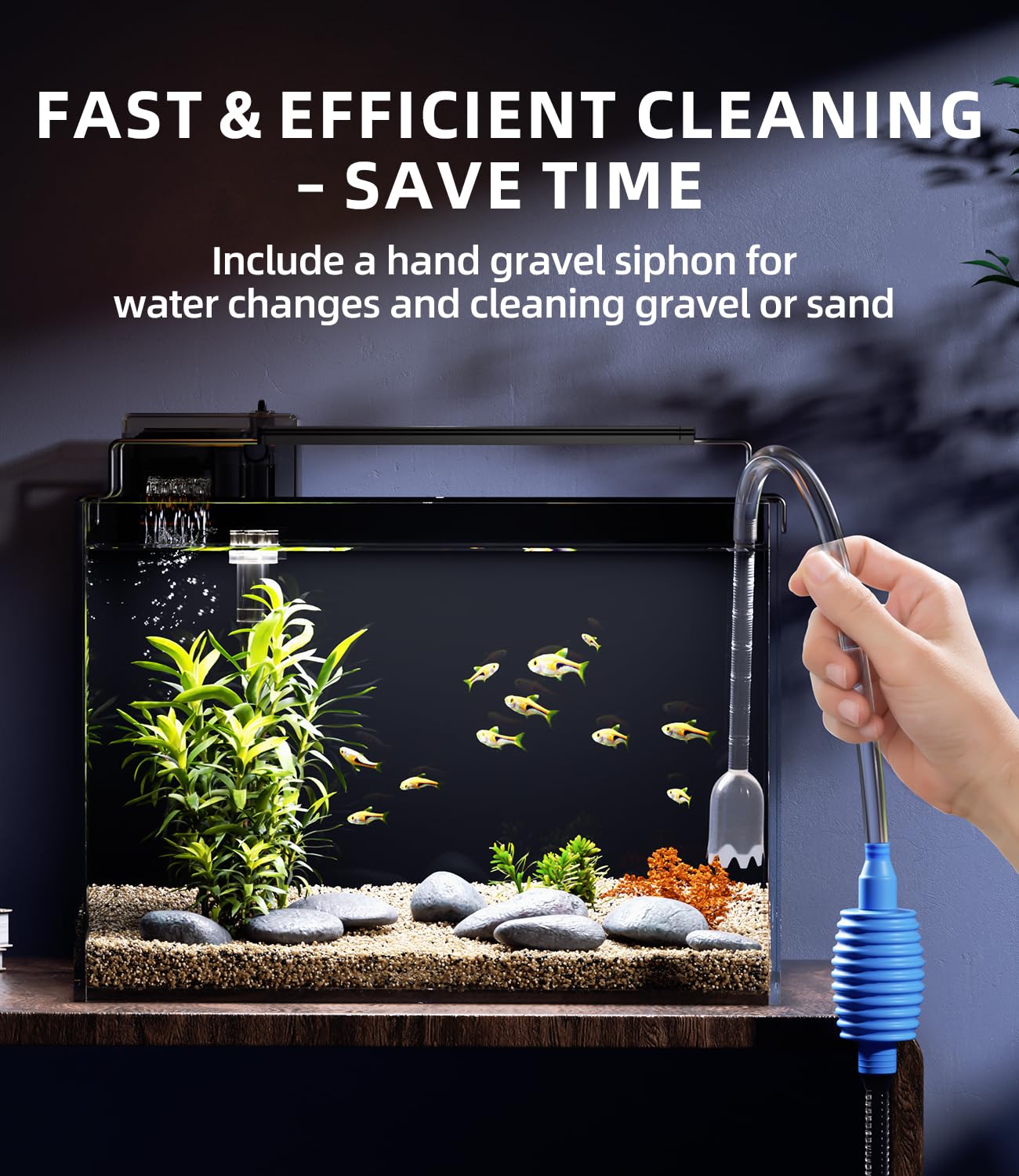 Red Tail Fish crystal-clear glass image with glare reduction for clear viewing