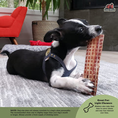 Dog chews Redbarn Barky Bark beef jerky, savoring slow-roasted flavor.