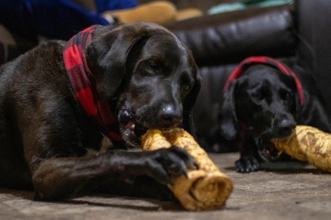 Redbarn chews are free from harsh additives and preservatives