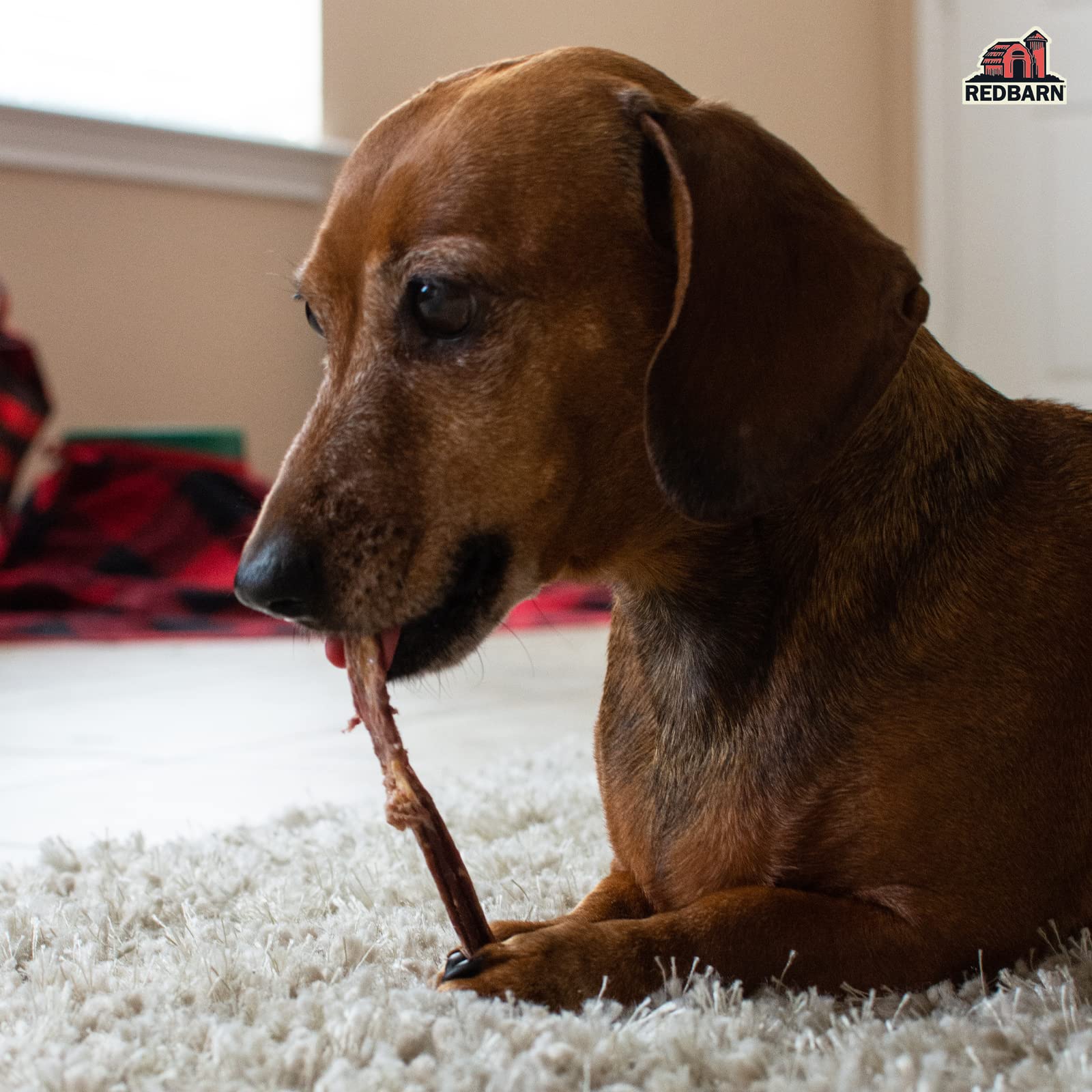Redbarn Bully Slims no-rawhide alternative for a cleaner chew experience.