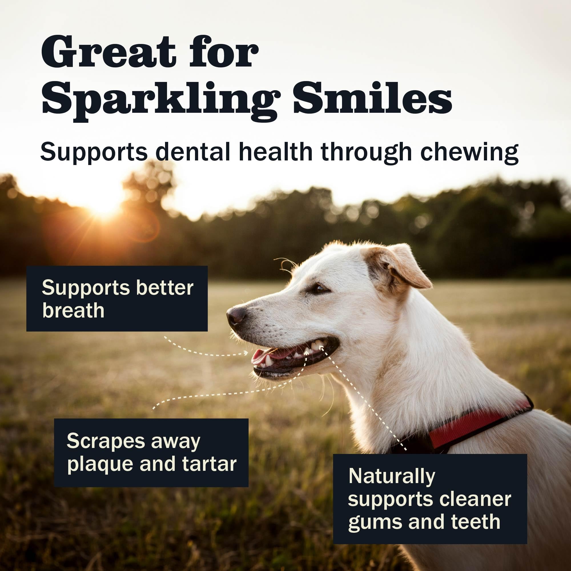 Redbarn Chew-A-Bulls grooved ridges massage gums during chew sessions