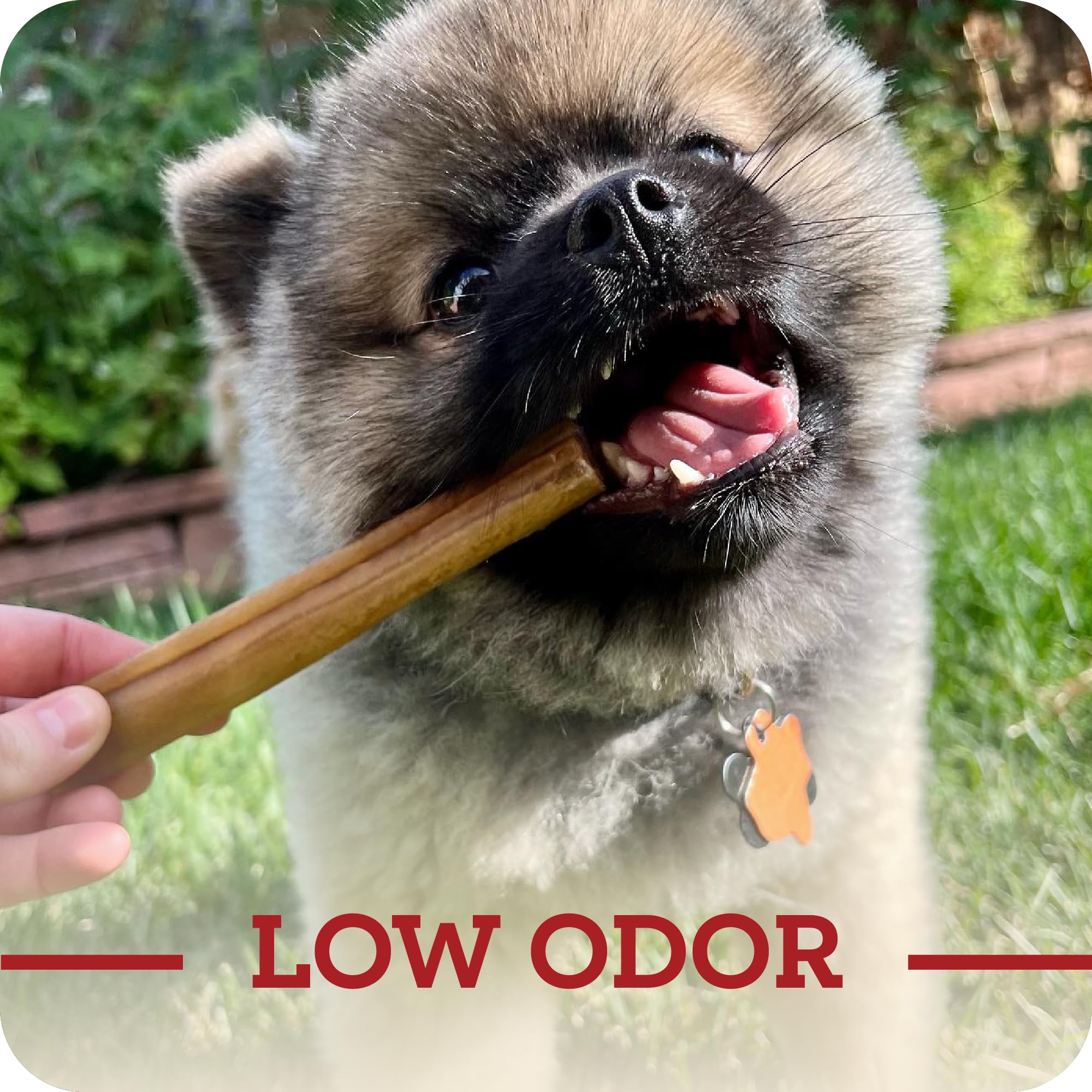 Redbarn Collagen Sticks thick chew favors extended play.