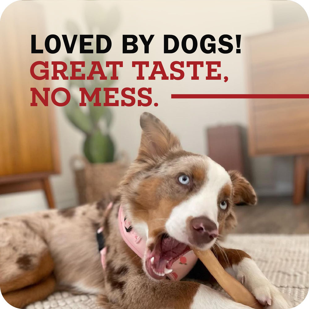 Redbarn Collagen Sticks for large breed chewers in action.