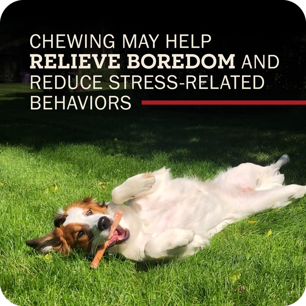Redbarn suitable for small and large dogs during play or chew sessions.