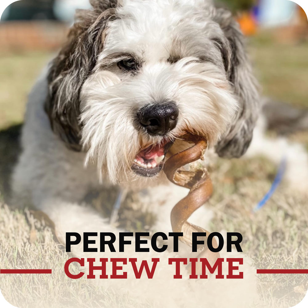 No-mess Redbarn chew with minimal greasy residue for indoor use