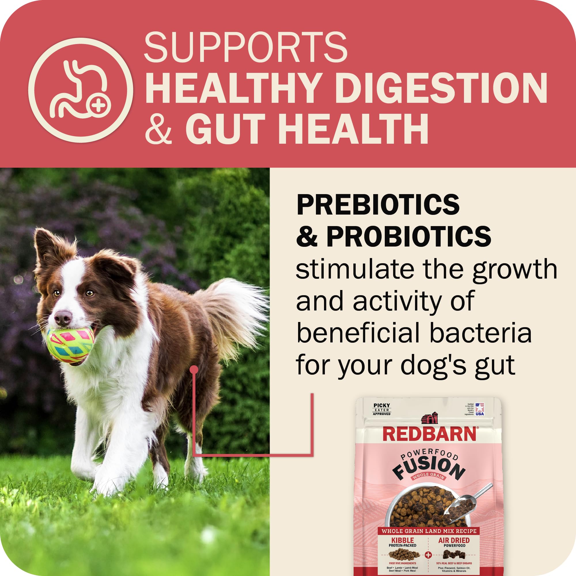 Redbarn Powerfood Fusion includes flaxseed miscanthus grass and salmon oil for healthy fats