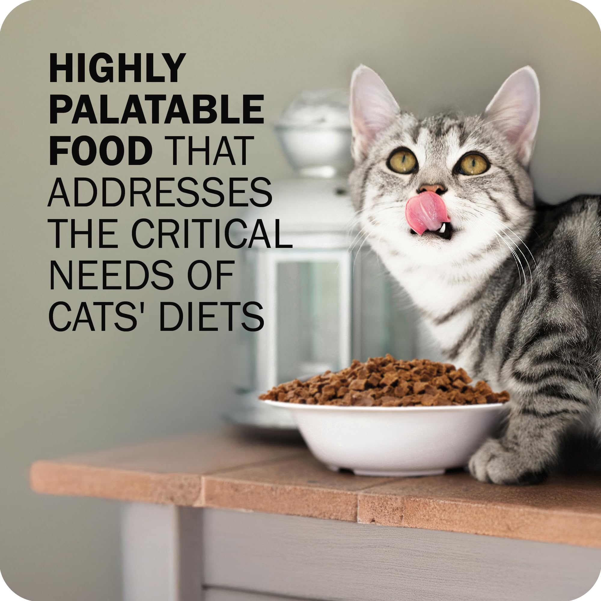 Redbarn Powerfood ingredients blend emphasizes grain-free quality and premium protein.