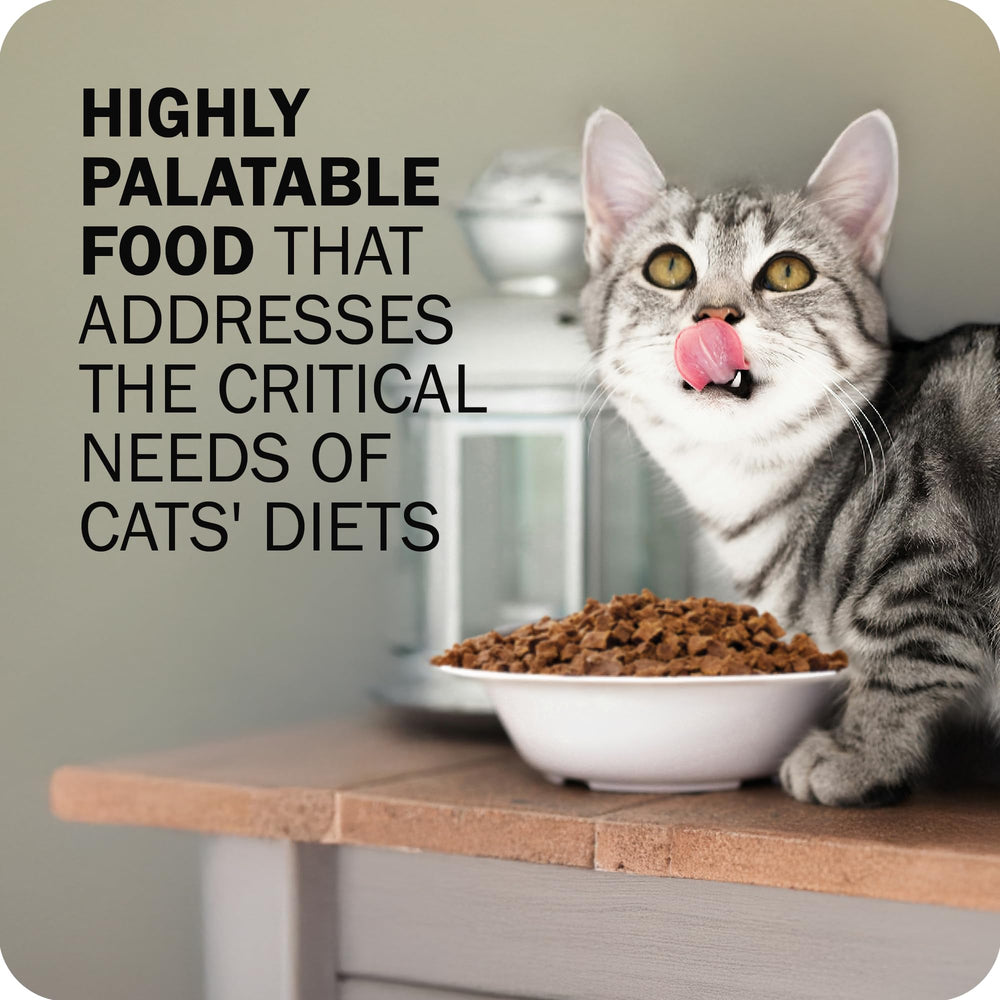 Redbarn Powerfood ingredients blend emphasizes grain-free quality and premium protein.