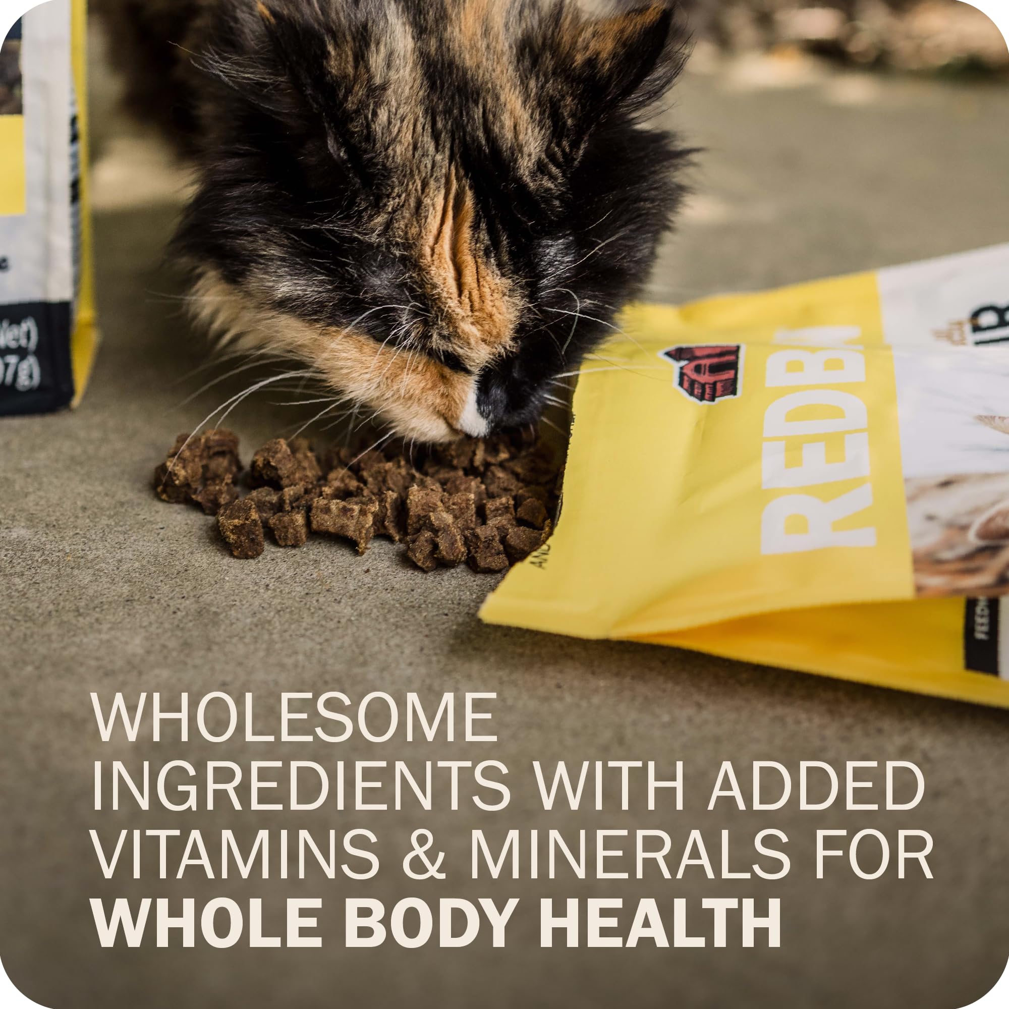 Salmon oil and flaxseed in Powerfood support healthy skin and coat in cats.