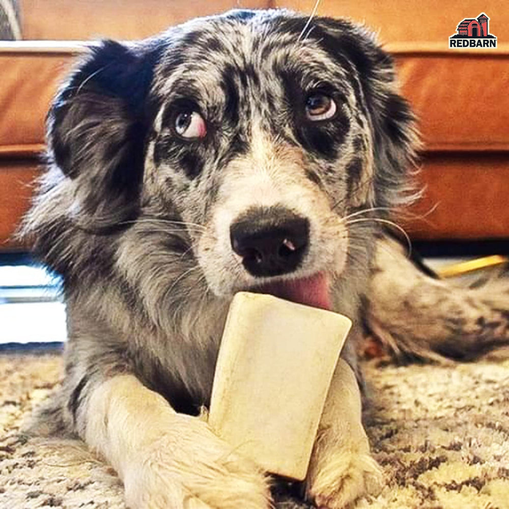 Redbarn semi-moist filled bone ready for supervised chewing