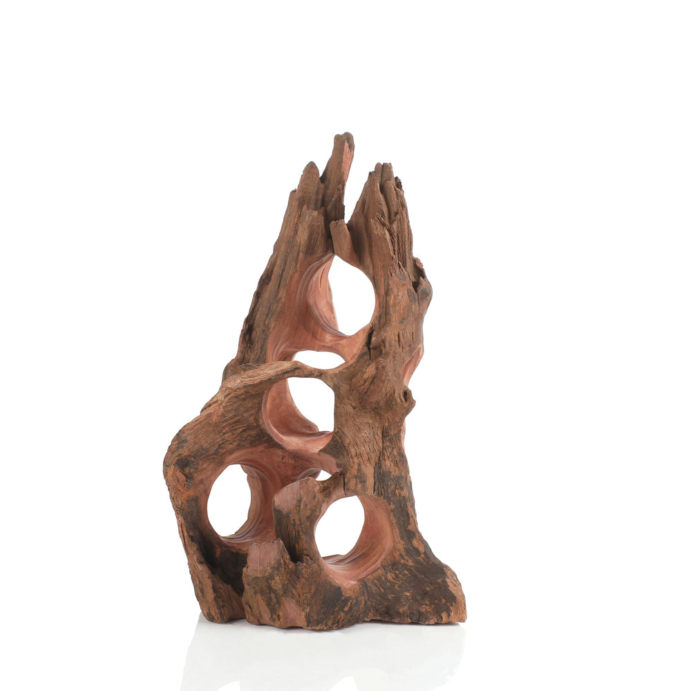 Redfeiyang driftwood cave offers natural textures and shelter