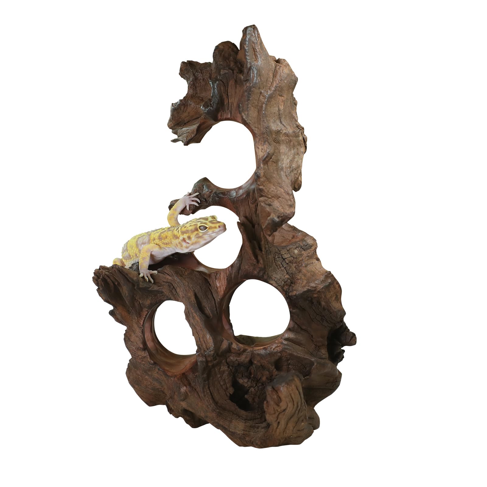 RedFeiyang pre-treated driftwood to reduce tannins in aquariums