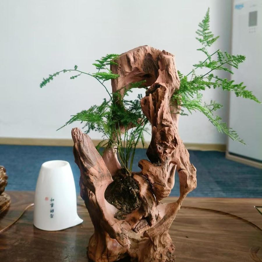 RedFeiyang reptile hideout driftwood for terrarium enrichment