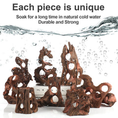 RedFeiyang tree cave modeling provides hollow tunnels for exploration