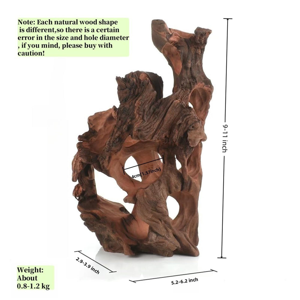 Redfeiyang tree cave modeling creates hollow tunnels for exploration