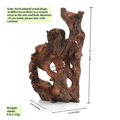 Redfeiyang tree cave modeling creates hollow tunnels for exploration