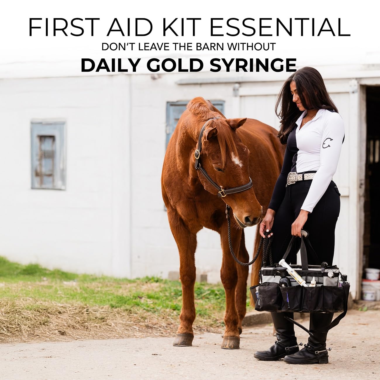 REDMOND Daily Gold syringe administered at the corner of a horse's mouth.