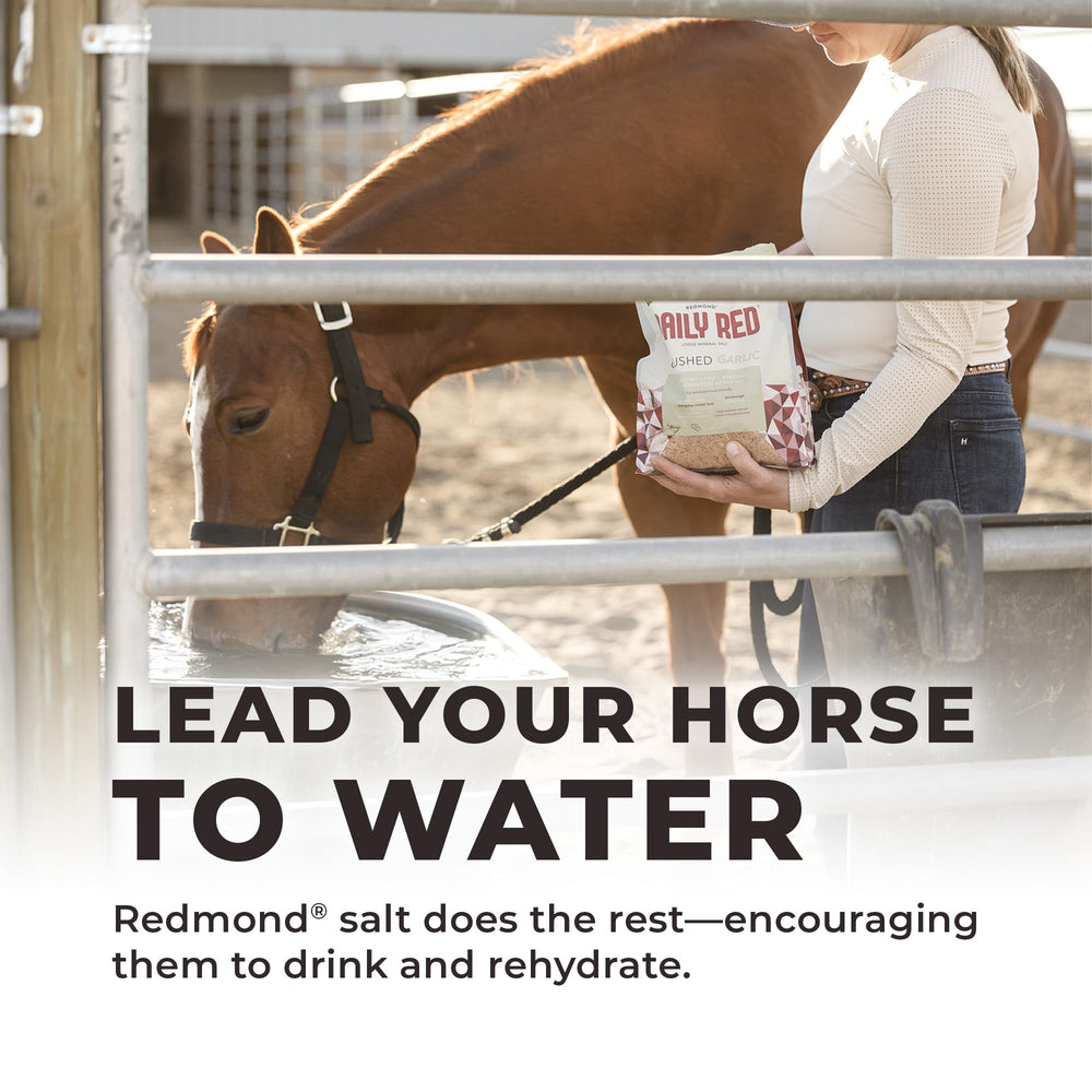 Horse feeding time with REDMOND Daily Red Crushed in stable setting.