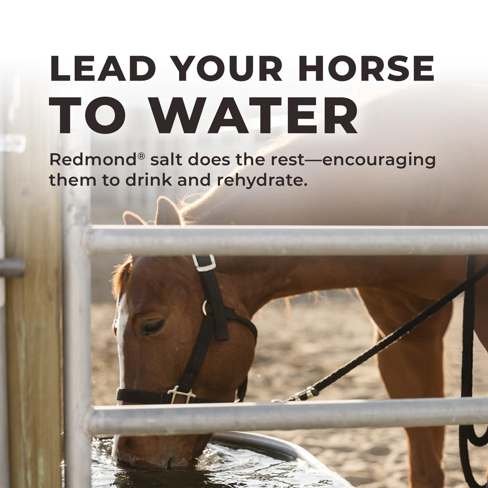 REDMOND Daily RED Crushed natural minerals are balanced by nature.