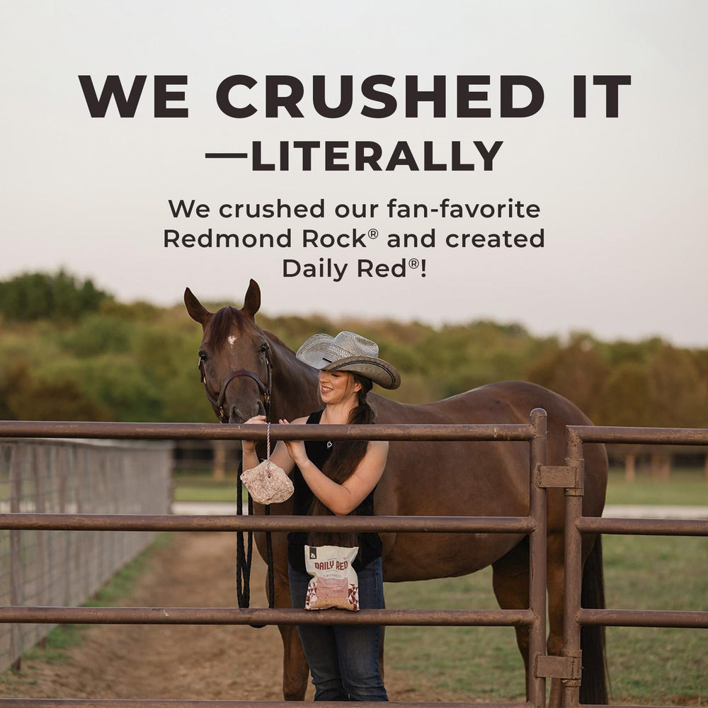 REDMOND Daily RED Crushed on feed bowl shows versatile feeding during turnout.