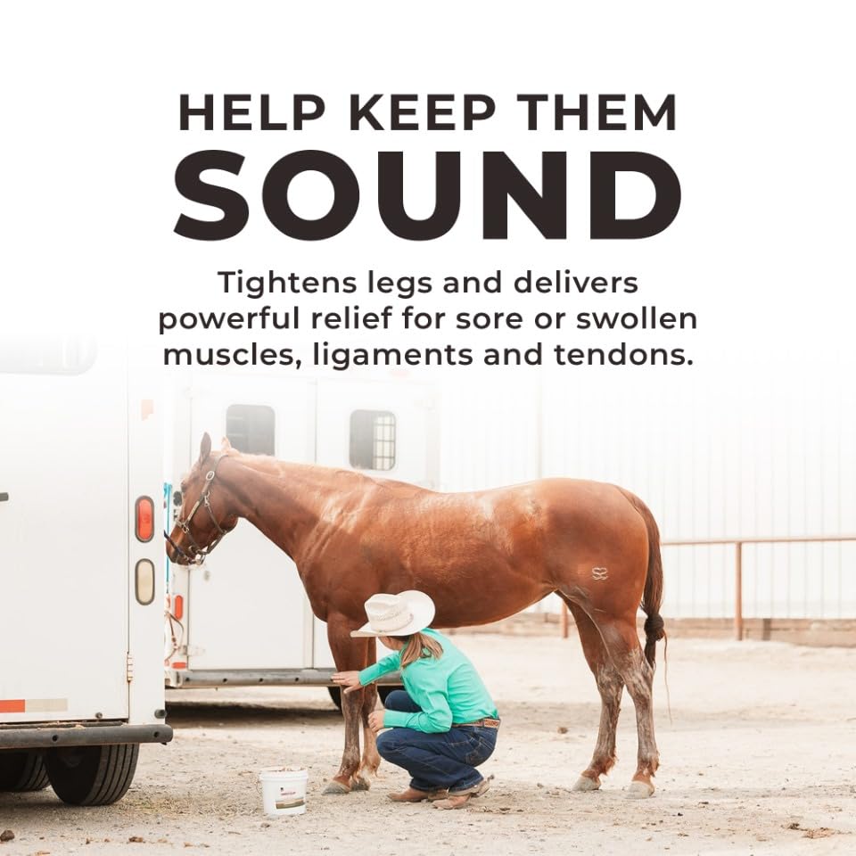 Redmond Red Edge Equine Poultice after workout aids recovery and soreness relief