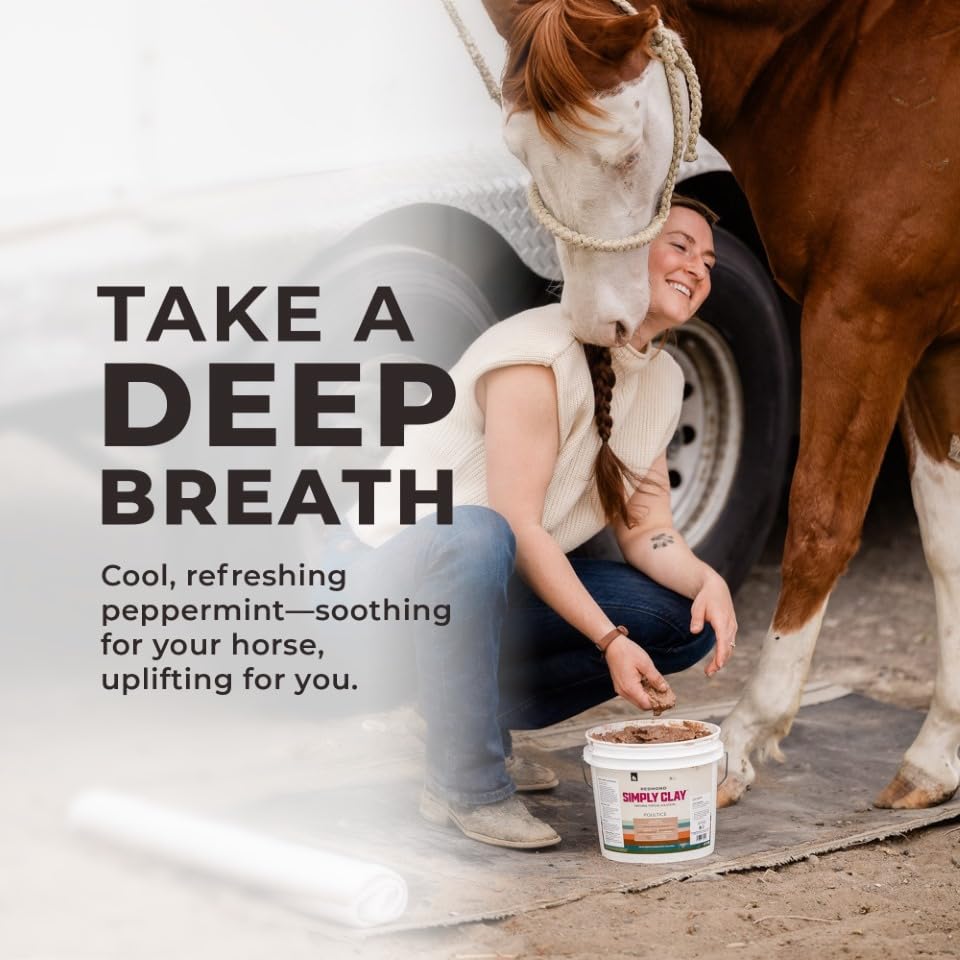 Redmond Red Edge Equine Poultice used before training to prep muscles for exertion