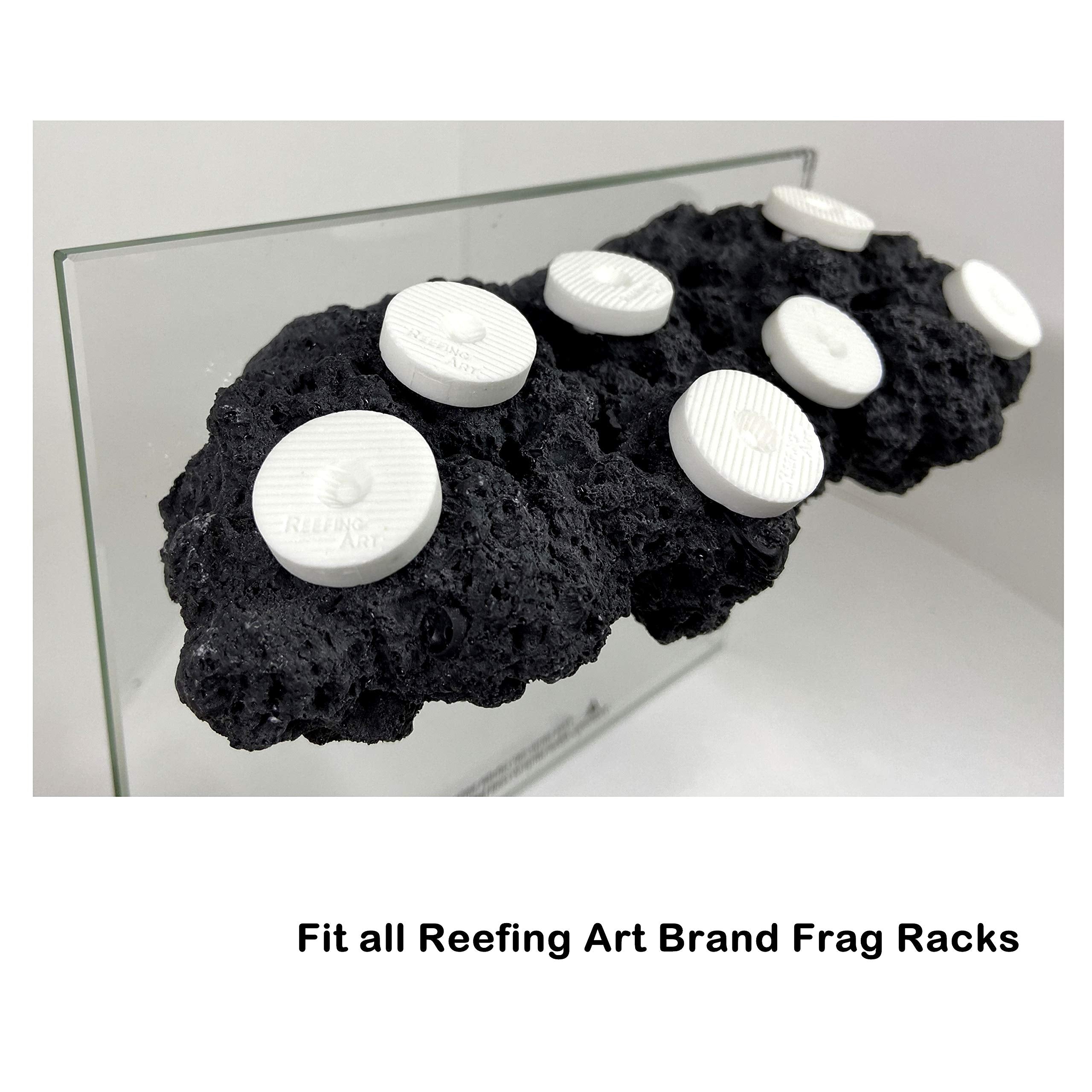 Reefing Art includes free aquarium glue for quick mounting.