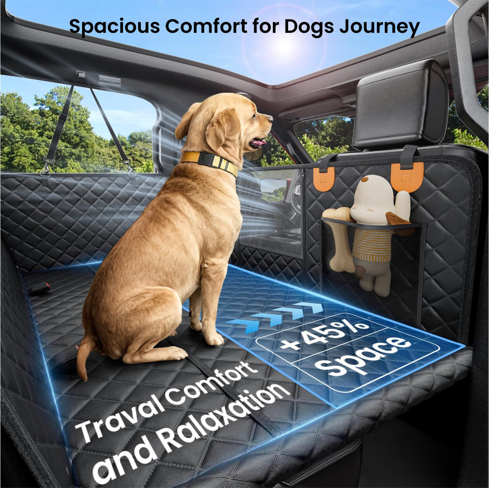 REEVAA expanded-space design offers extra room for large dogs on road trips