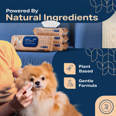 REFRESHIFY face wipes for dogs, safe cleansing after outdoor adventures.