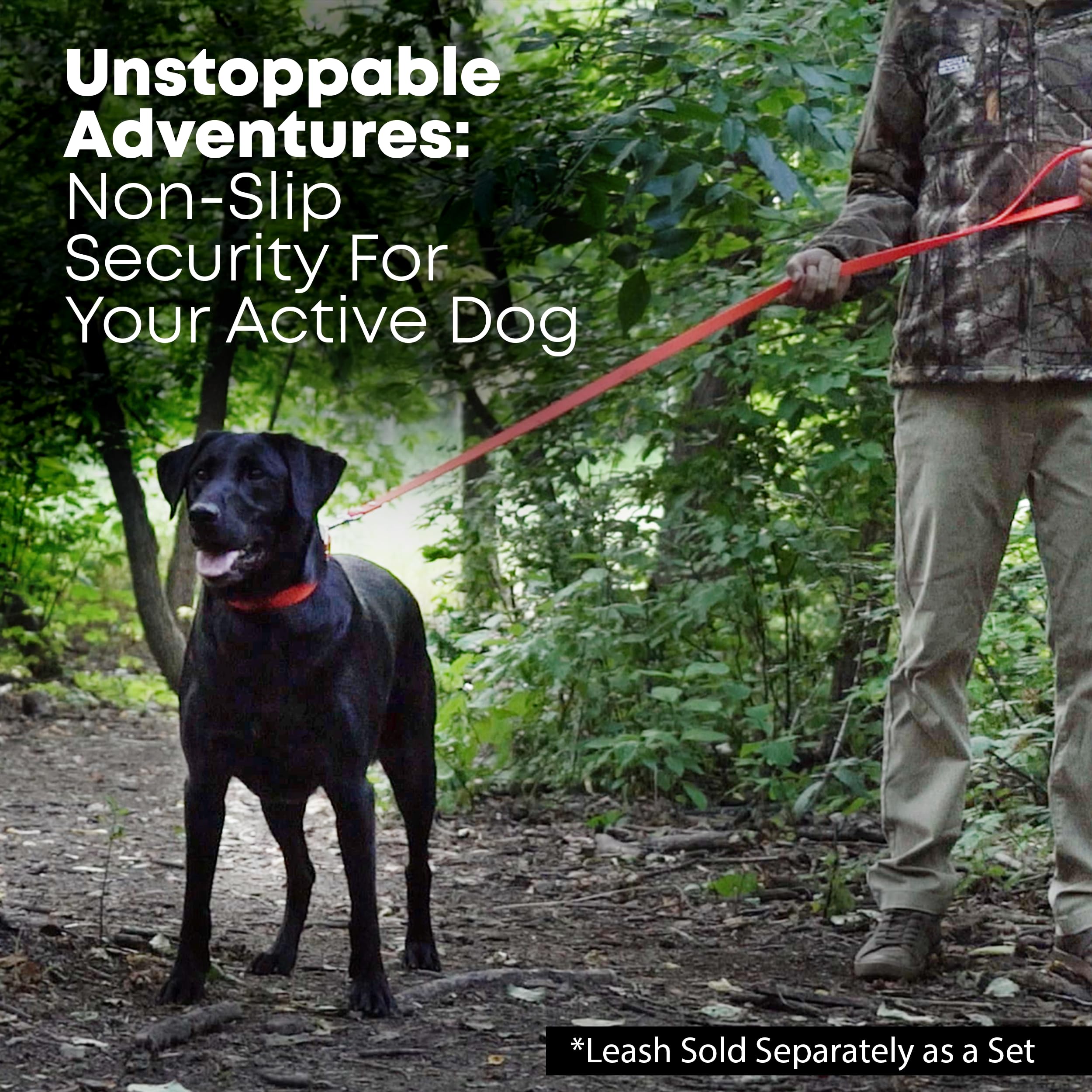 Regal Dog orange chew-resistant collar offers easy cleaning
