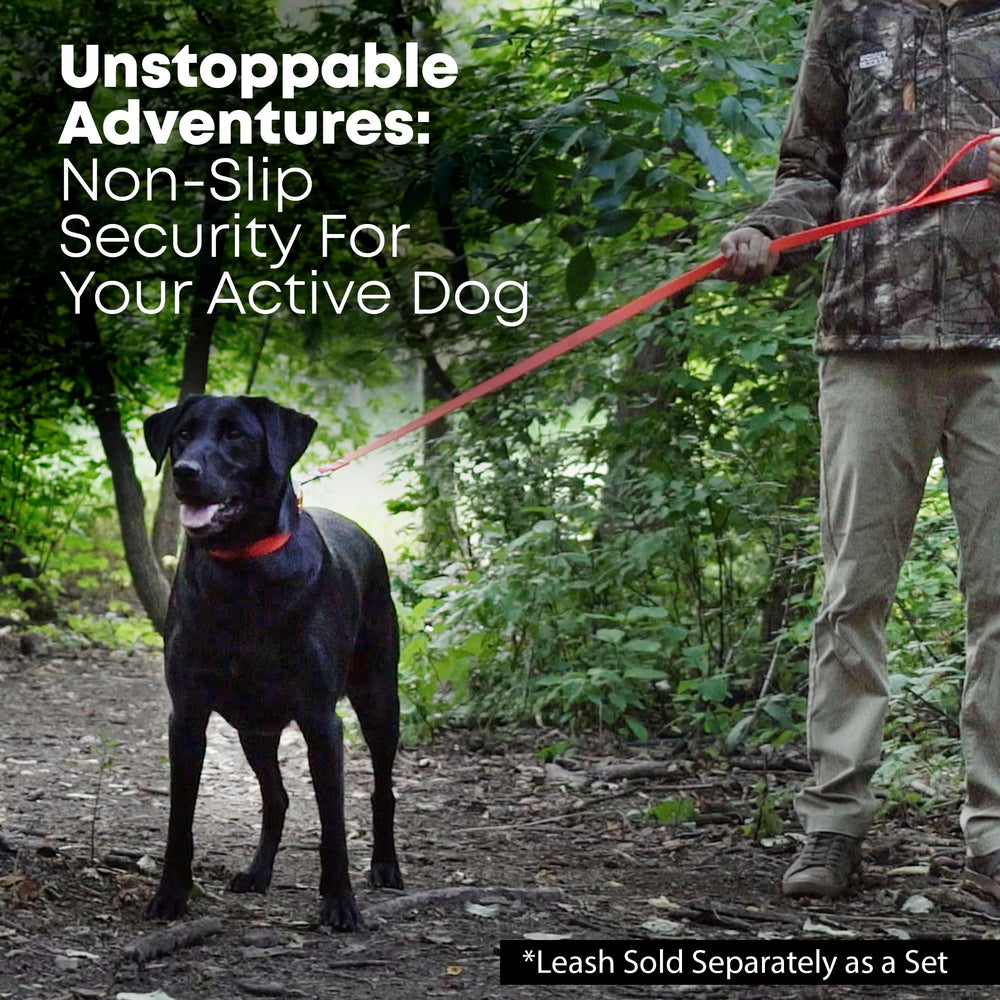 Regal Dog orange chew-resistant collar offers easy cleaning