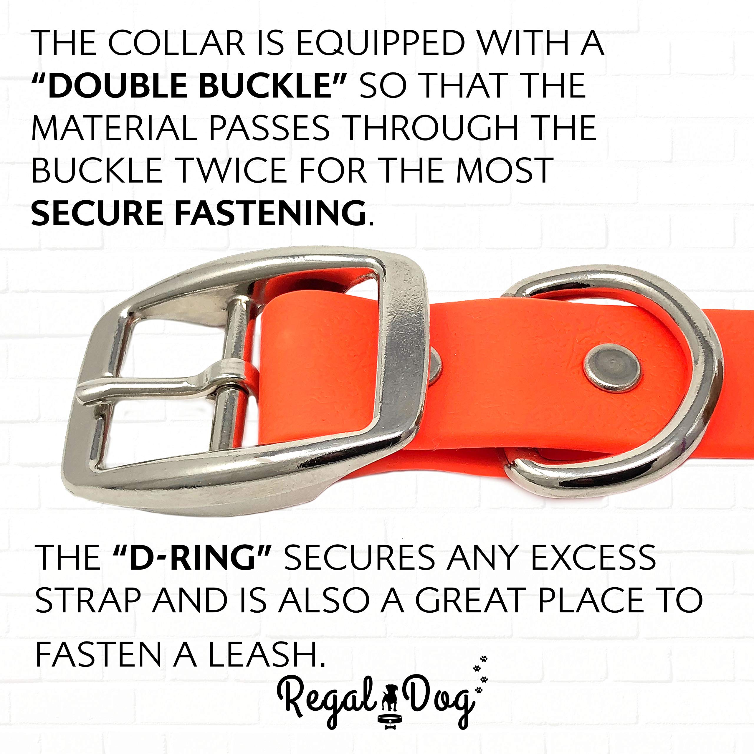 Regal Dog orange synthetic leather-look collar combines style and resilience