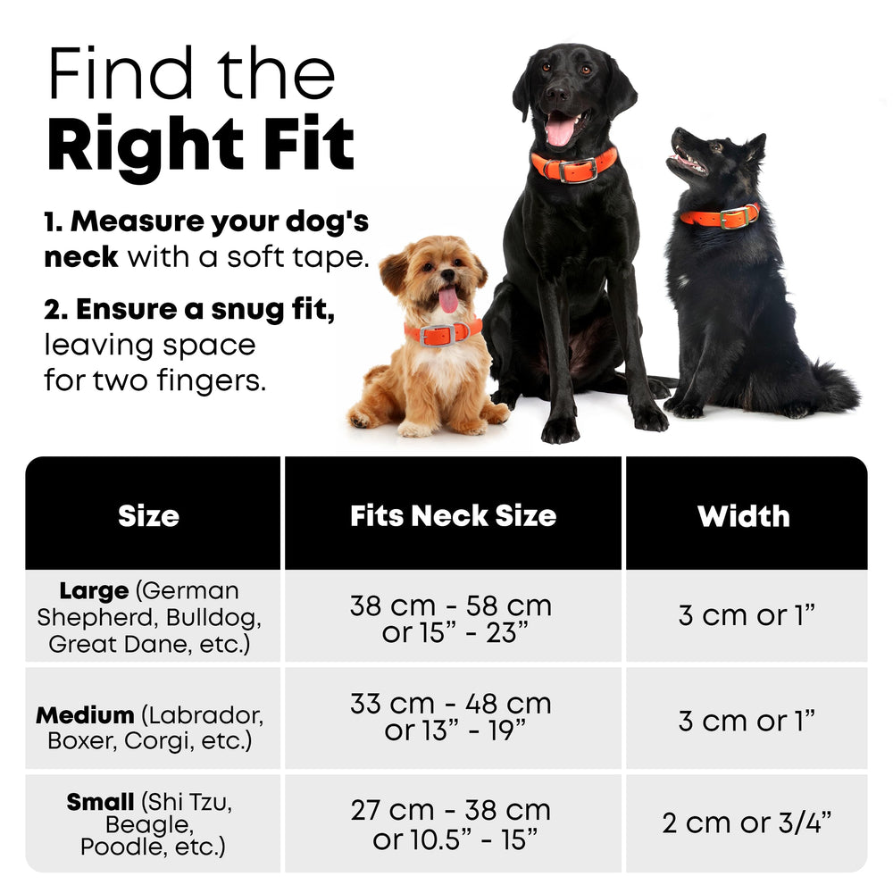 Regal Dog orange collar for water adventures with quick-dry design