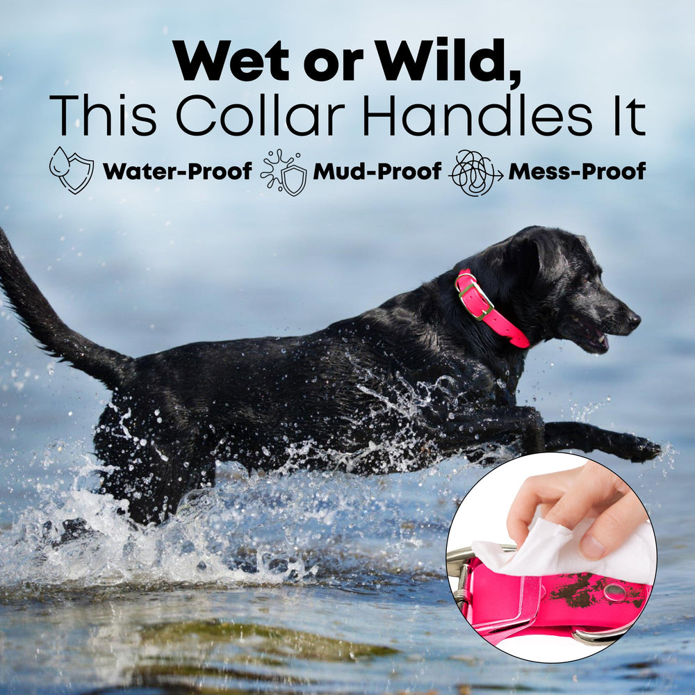 Regal Dog Products adjustable biothane collar fits many neck sizes with comfortable wear.