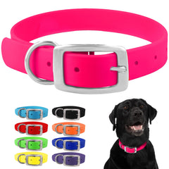 Regal Dog Products medium pink collar with double buckle for secure daily wear.