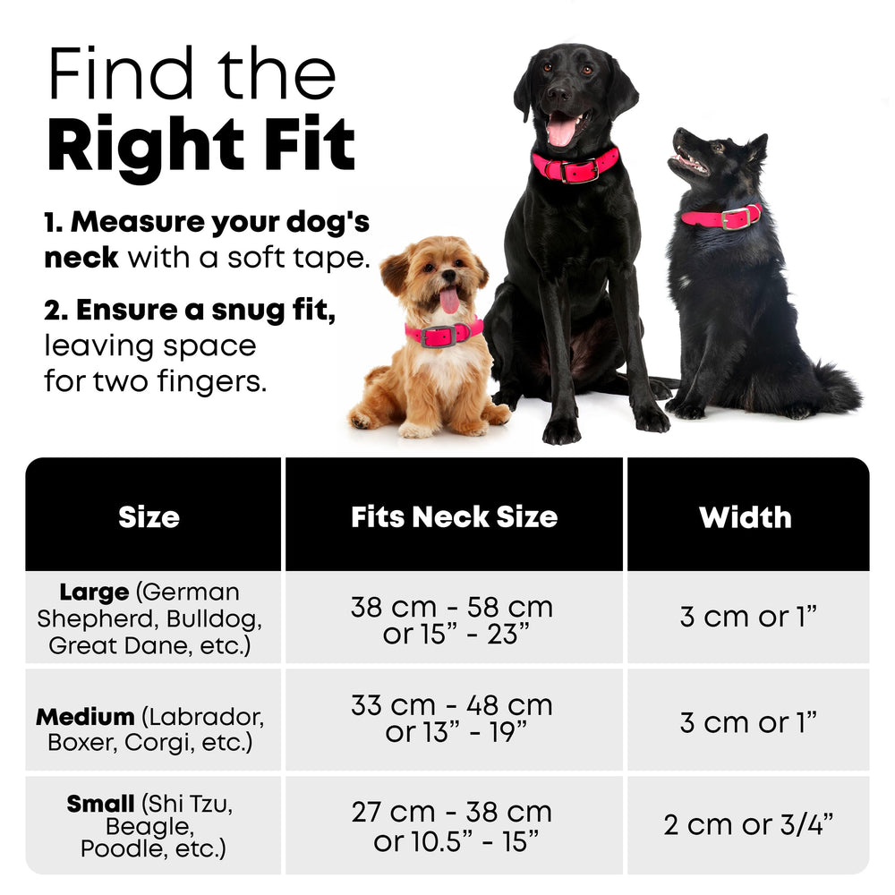Regal Dog Products pink medium collar combines style with practical everyday use.