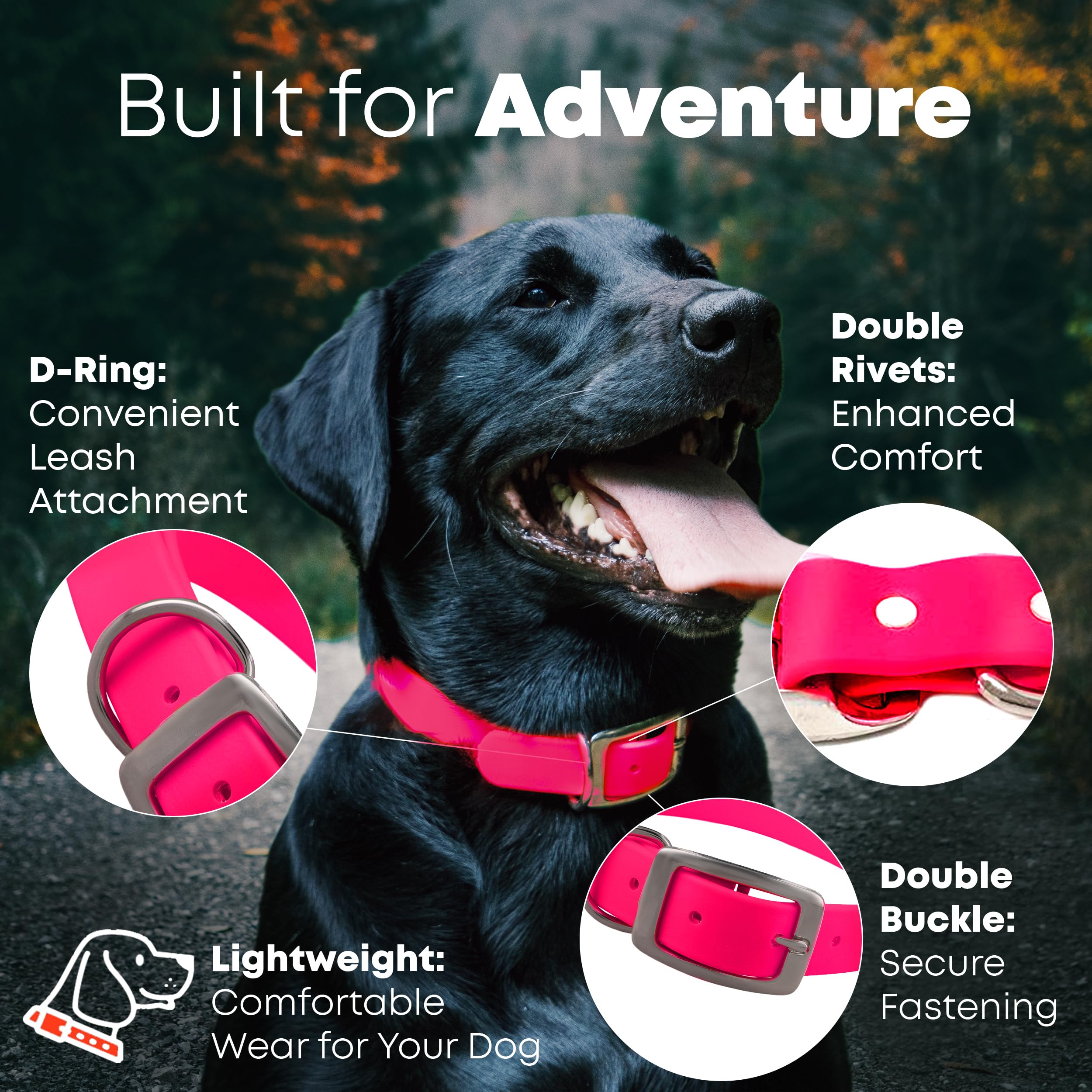 Regal Dog Products vinyl-coated waterproof collar stays dry and clean on outdoor adventures.