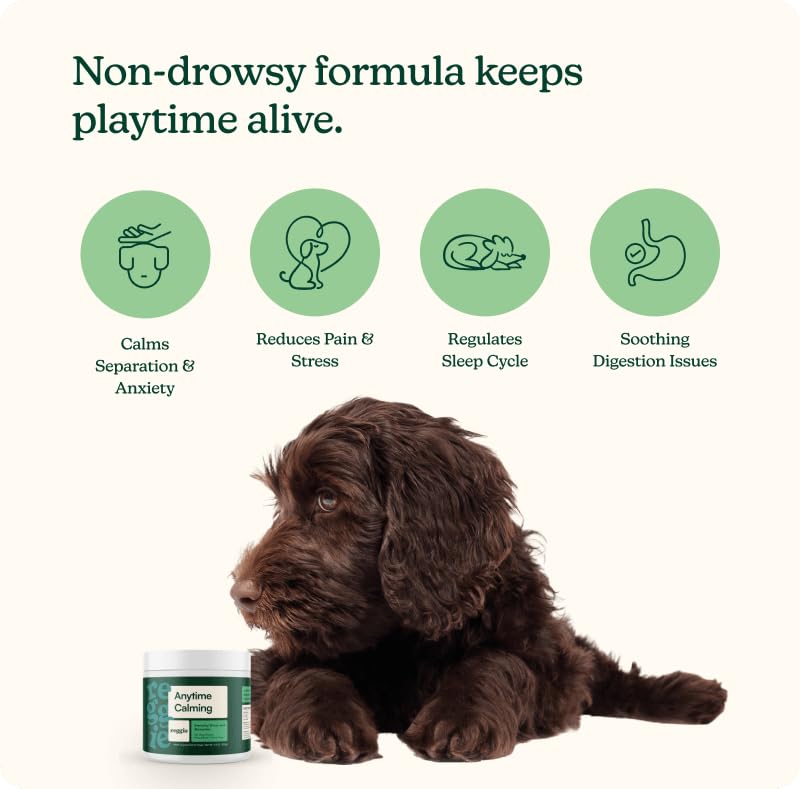 Reggie Anytime Calming Chews packet back shows ingredients and dosing guidance