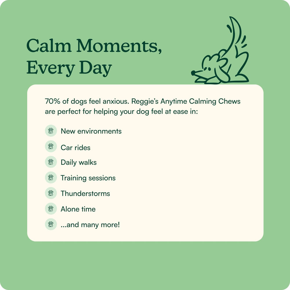 Reggie Anytime Calming Chews soft texture closeup, peanut butter flavor