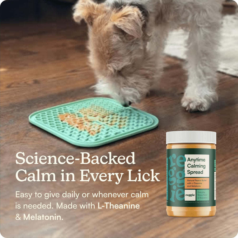 Reggie Calming Spread ingredients closeup with L-Theanine and Melatonin.