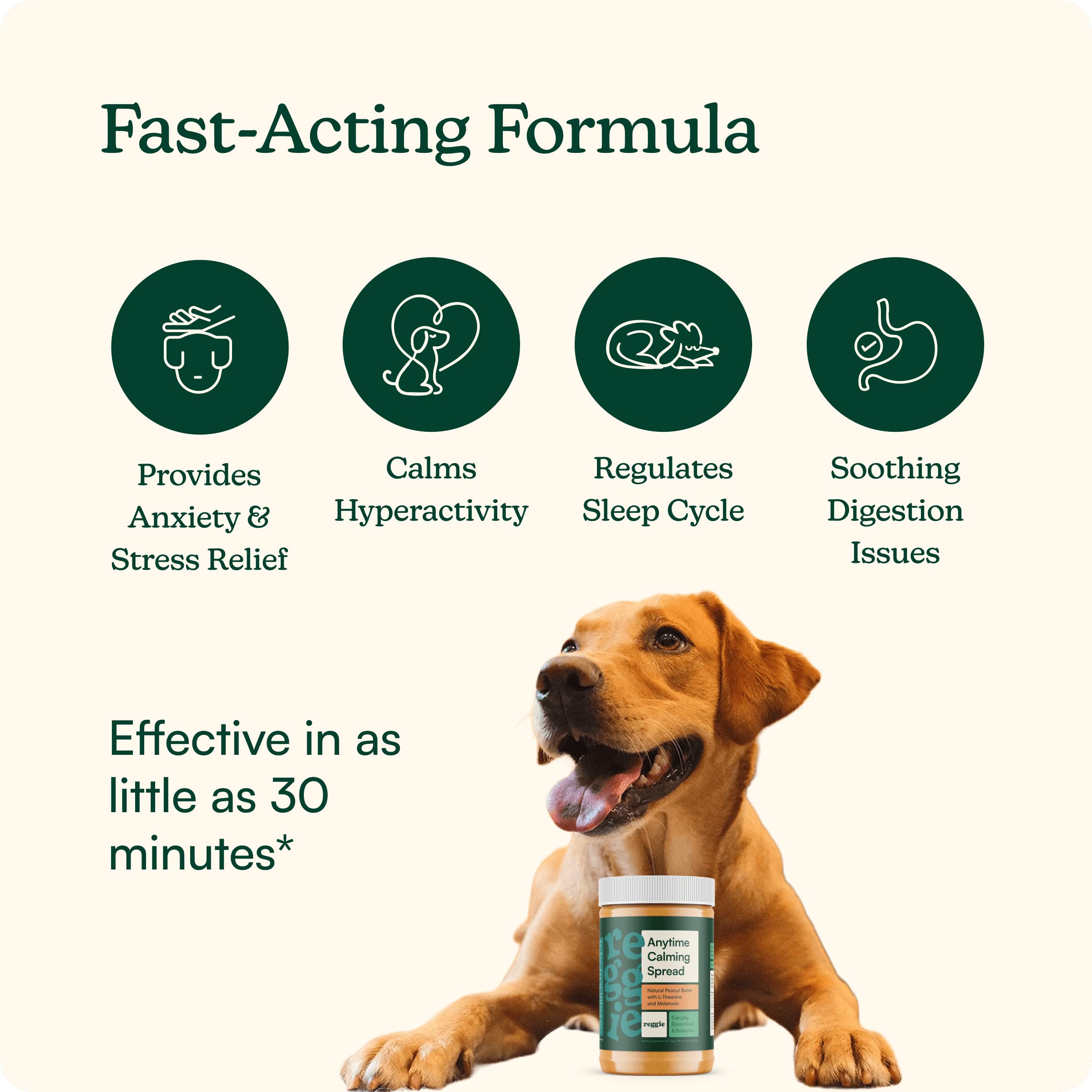 Reggie Calming Spread on a lick mat illustrating easy calming routine.