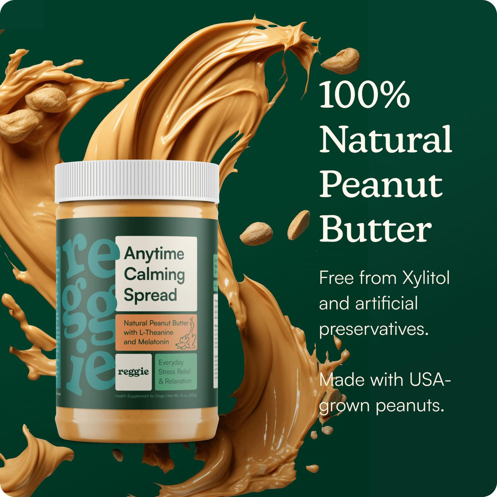 Reggie Calming Spread spoon serve highlighting tasty peanut butter for dogs.