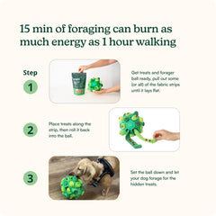 Reggie Forager Ball dog-enjoying play demonstrates engaging pastime.