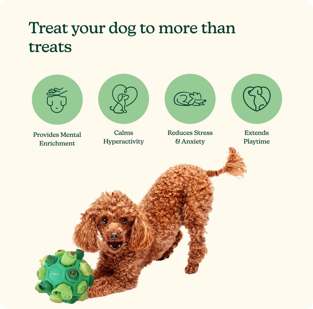Reggie Forager Ball easy-clean design simplifies after-play care.