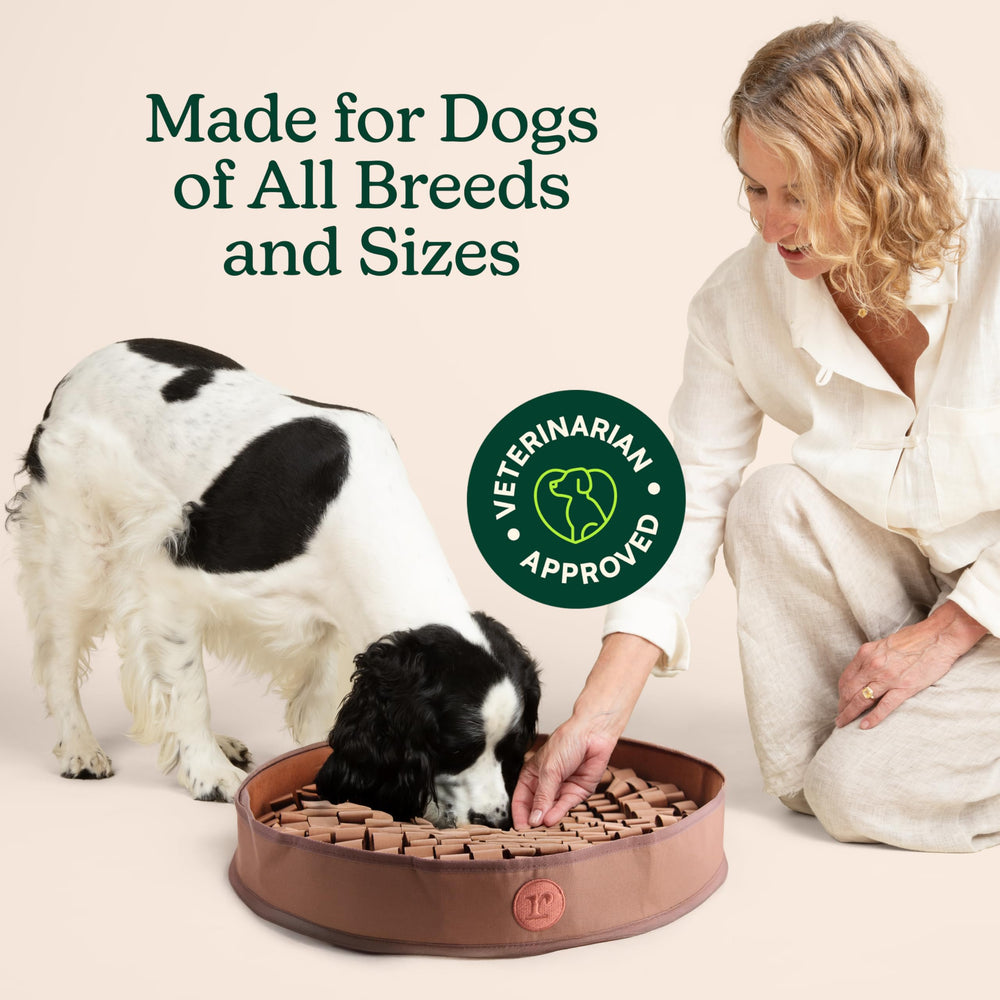 Reggie Snuffle Mat machine-washable design for easy cleaning after sniffing sessions.